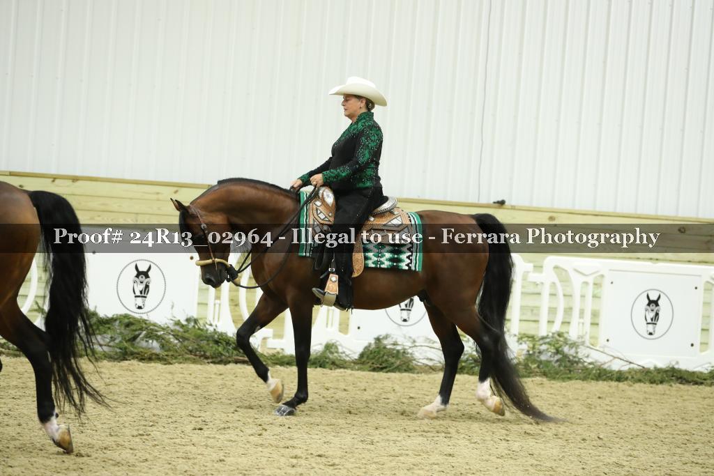Proof Number 24R13_02964