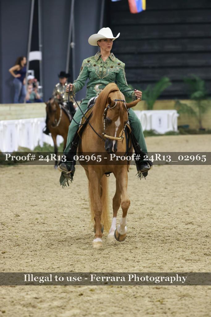 Proof Number 24R13_02965