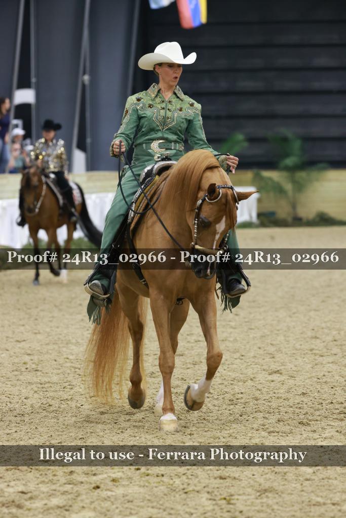 Proof Number 24R13_02966