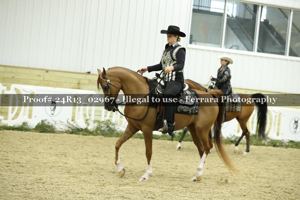 Proof Number 24R13_02967
