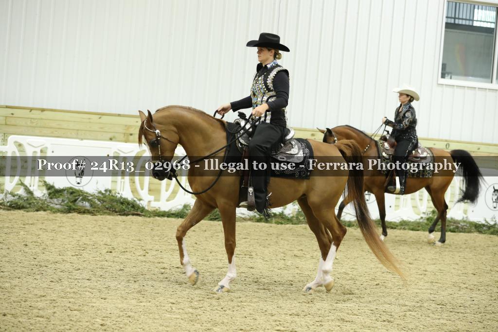 Proof Number 24R13_02968