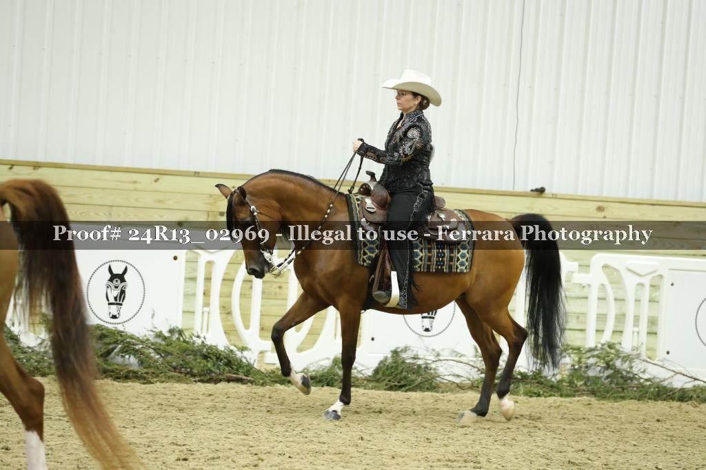 Proof Number 24R13_02969