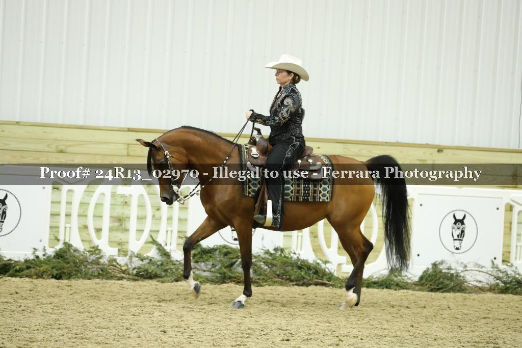 Proof Number 24R13_02970