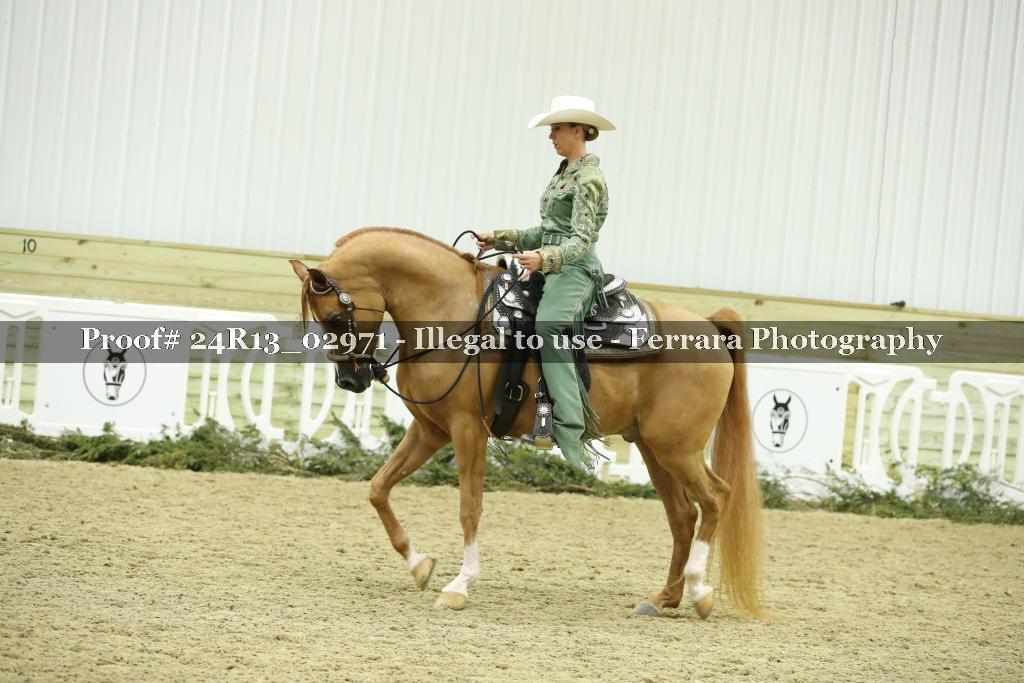 Proof Number 24R13_02971