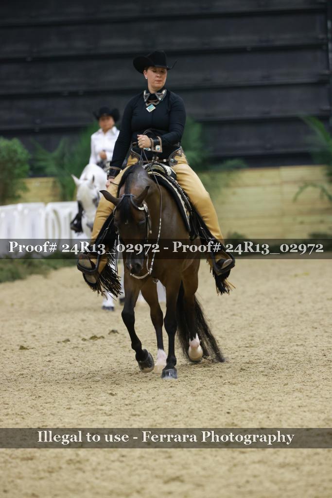 Proof Number 24R13_02972