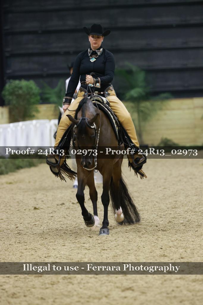 Proof Number 24R13_02973