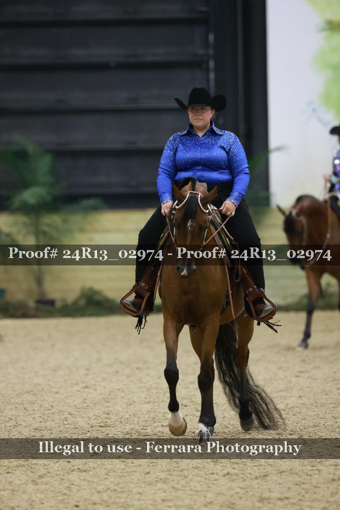 Proof Number 24R13_02974