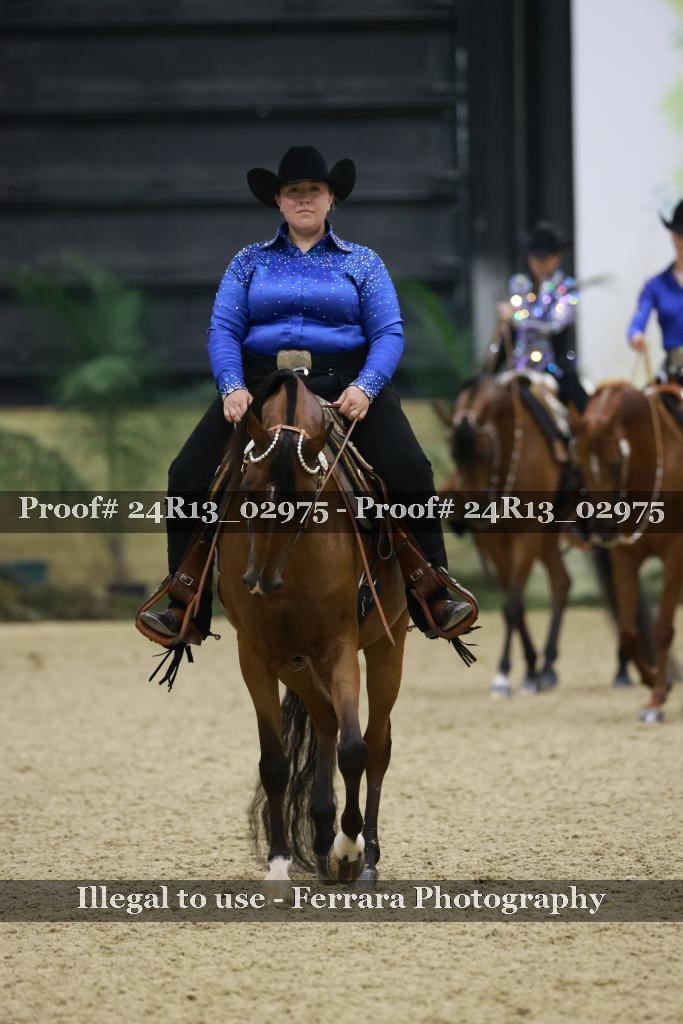 Proof Number 24R13_02975