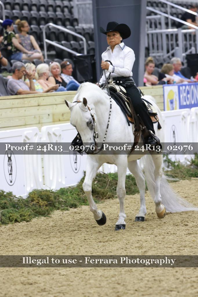 Proof Number 24R13_02976