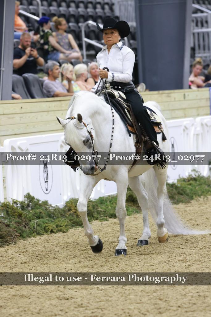 Proof Number 24R13_02977