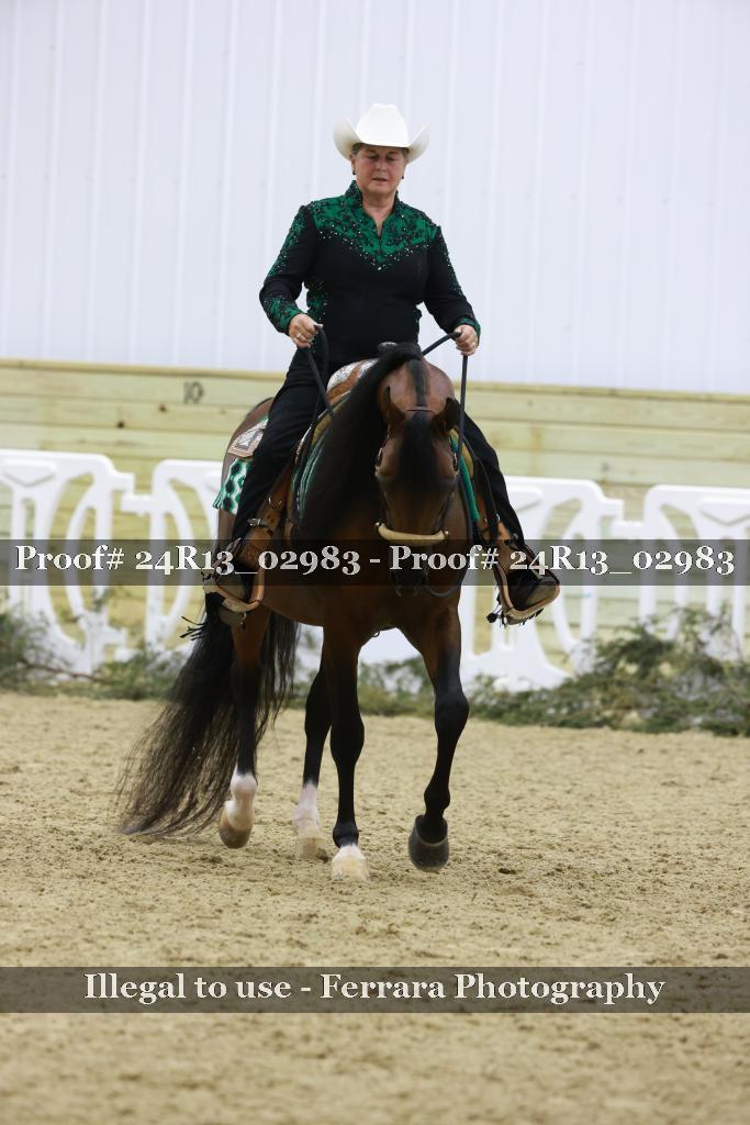 Proof Number 24R13_02983