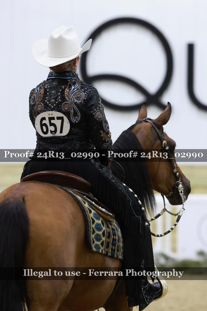 Proof Number 24R13_02990