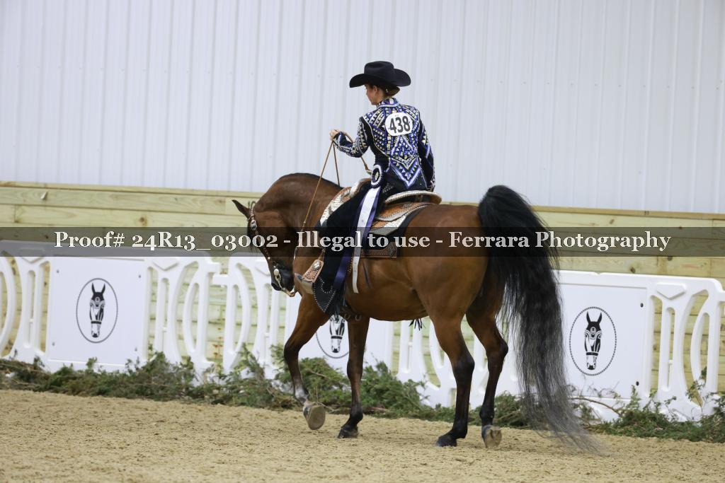 Proof Number 24R13_03002