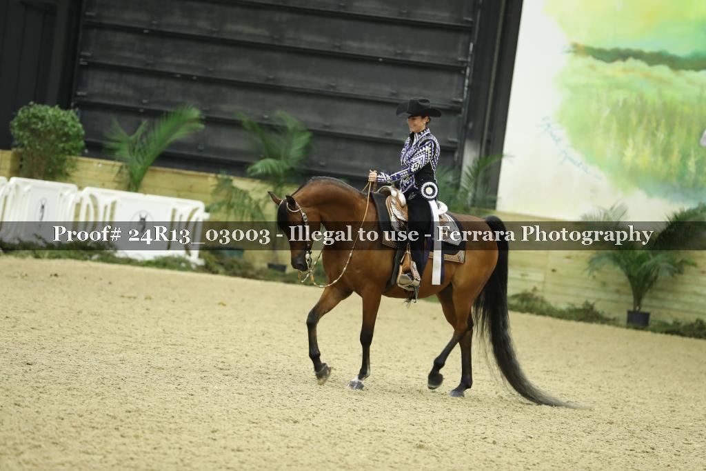 Proof Number 24R13_03003