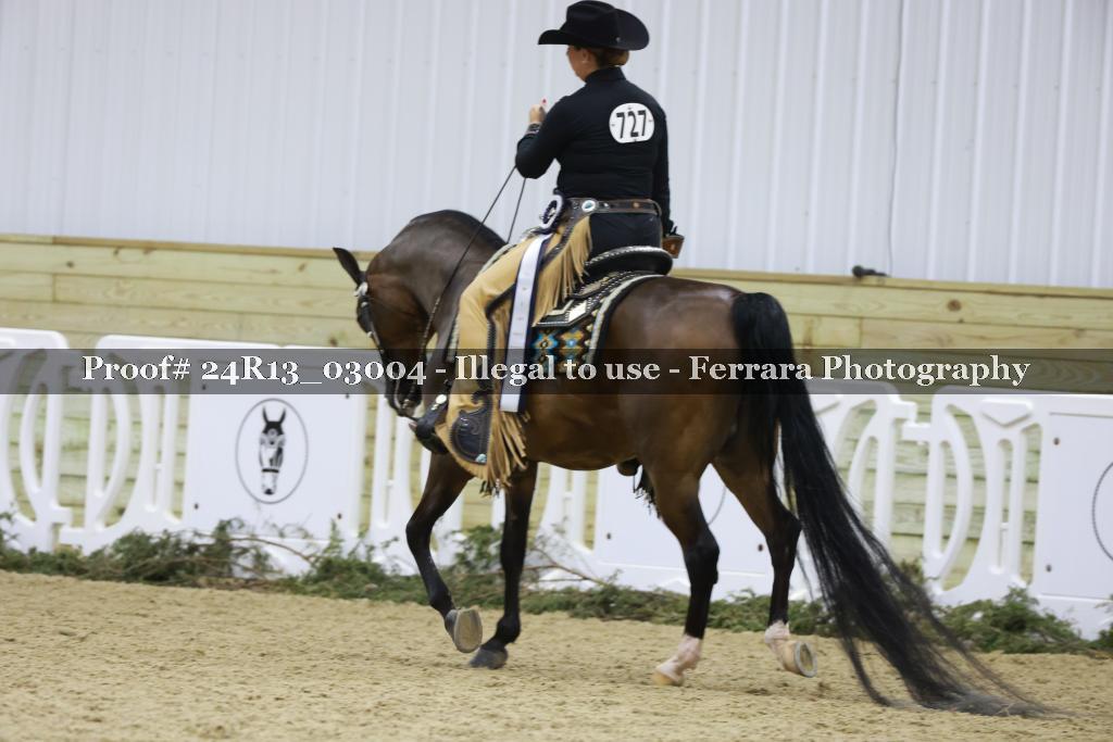 Proof Number 24R13_03004