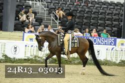 24R13_03013 thumbnail