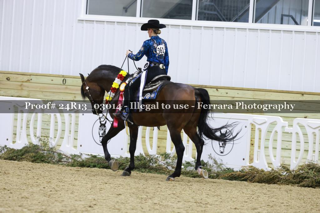 Proof Number 24R13_03014
