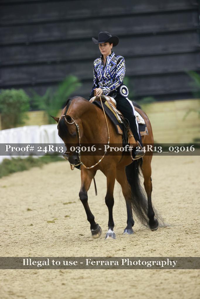Proof Number 24R13_03016