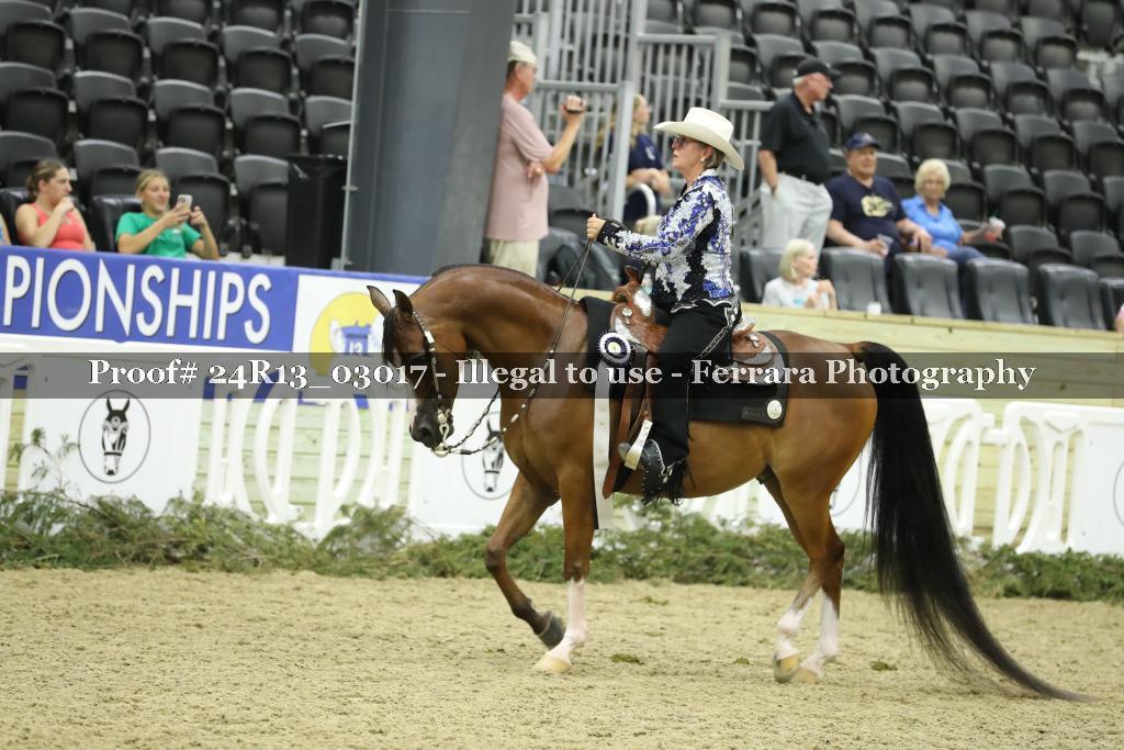 Proof Number 24R13_03017