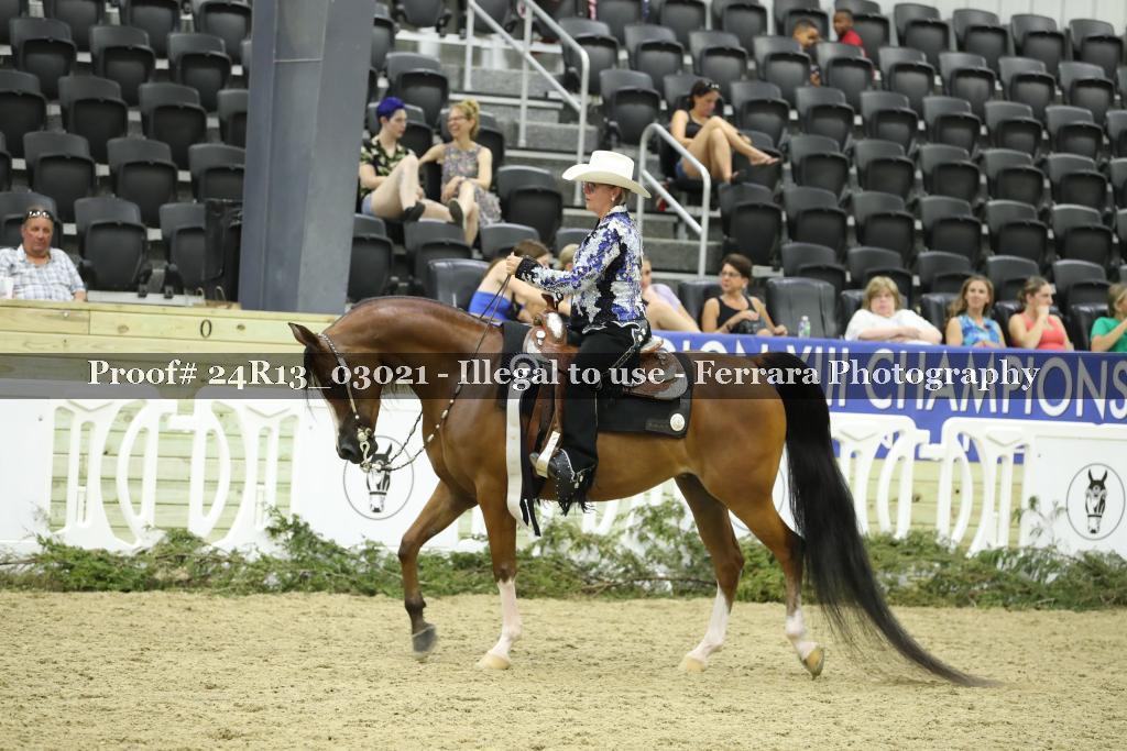 Proof Number 24R13_03021