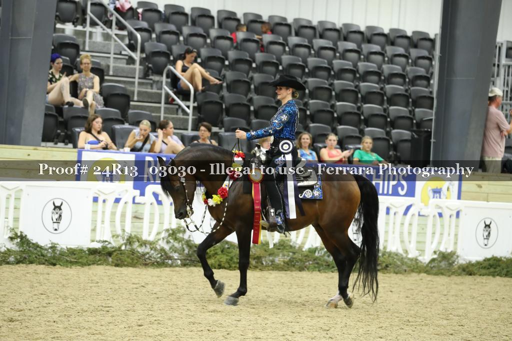 Proof Number 24R13_03030