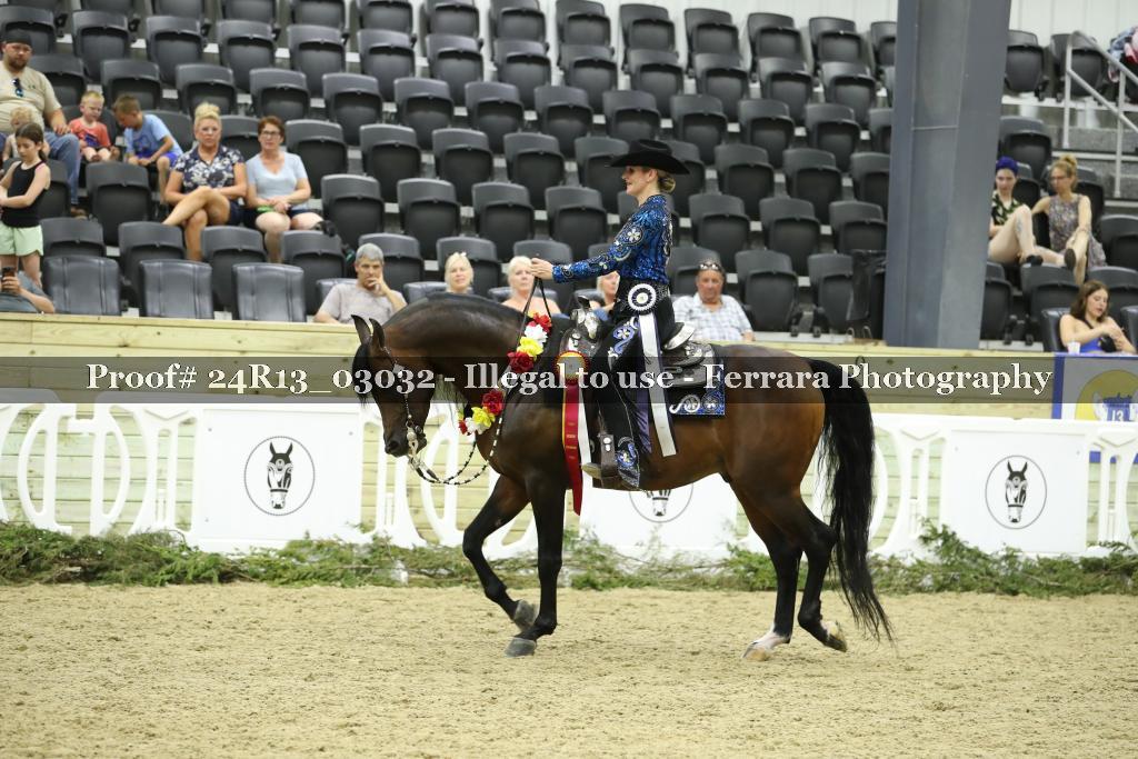 Proof Number 24R13_03032