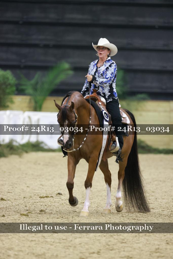 Proof Number 24R13_03034