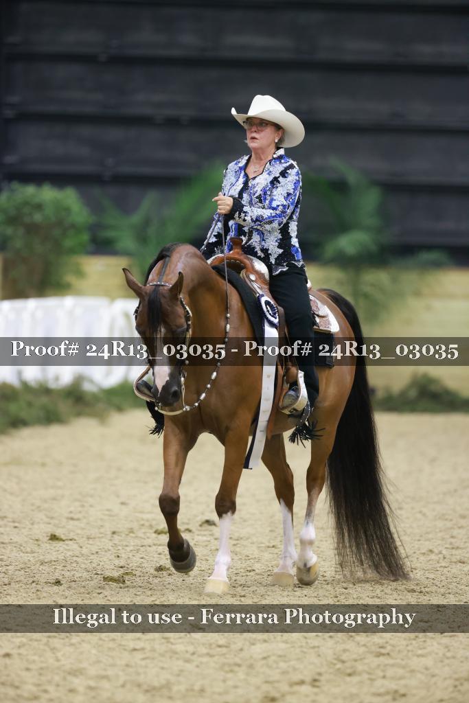 Proof Number 24R13_03035