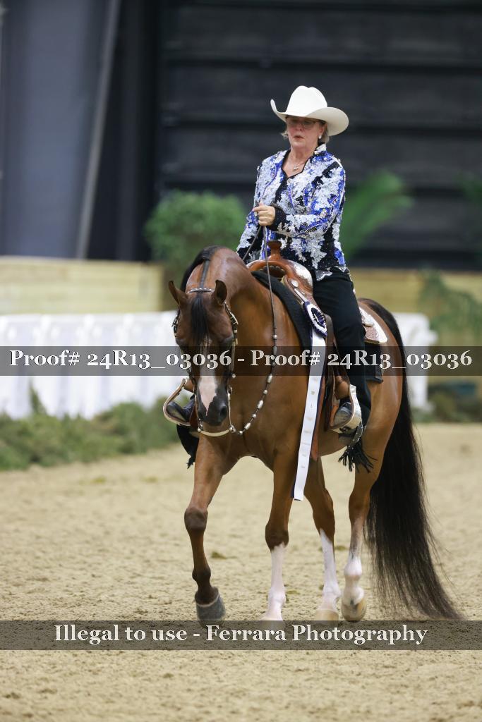 Proof Number 24R13_03036