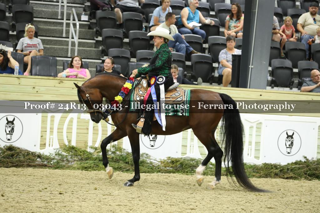 Proof Number 24R13_03043