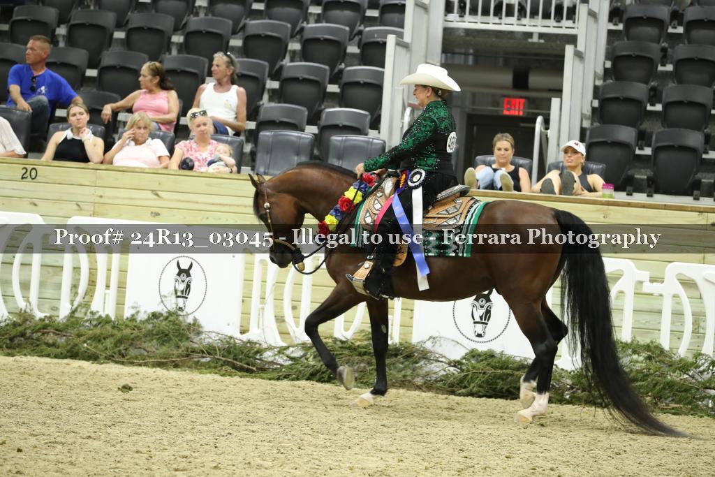 Proof Number 24R13_03045