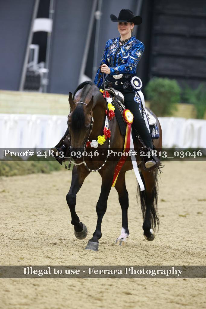 Proof Number 24R13_03046