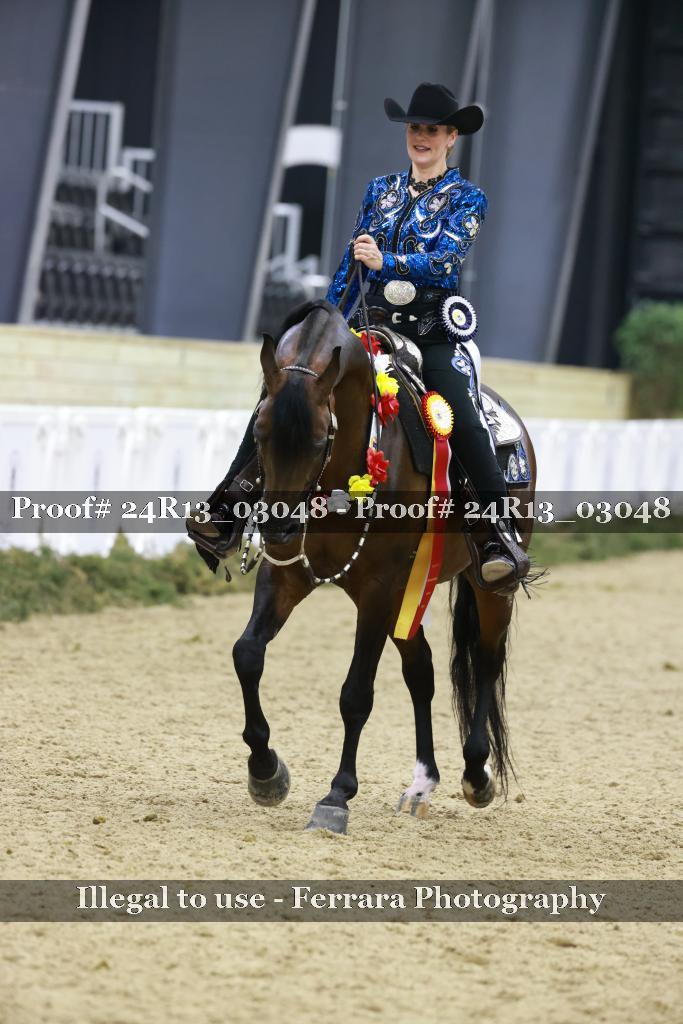 Proof Number 24R13_03048