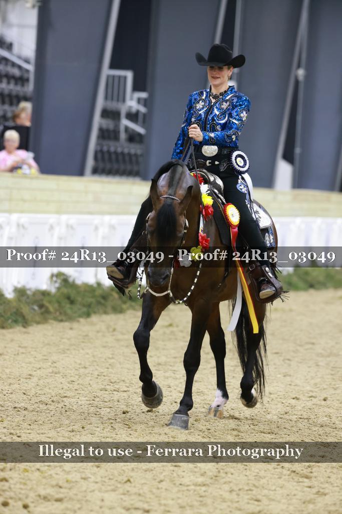 Proof Number 24R13_03049