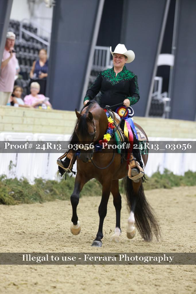 Proof Number 24R13_03056
