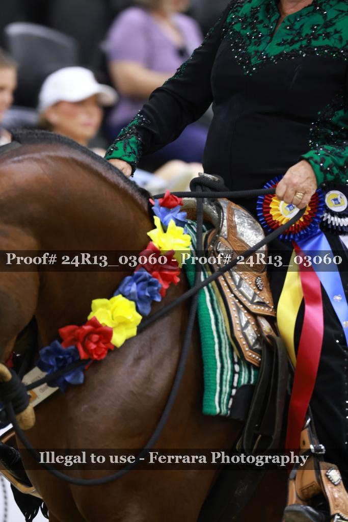Proof Number 24R13_03060