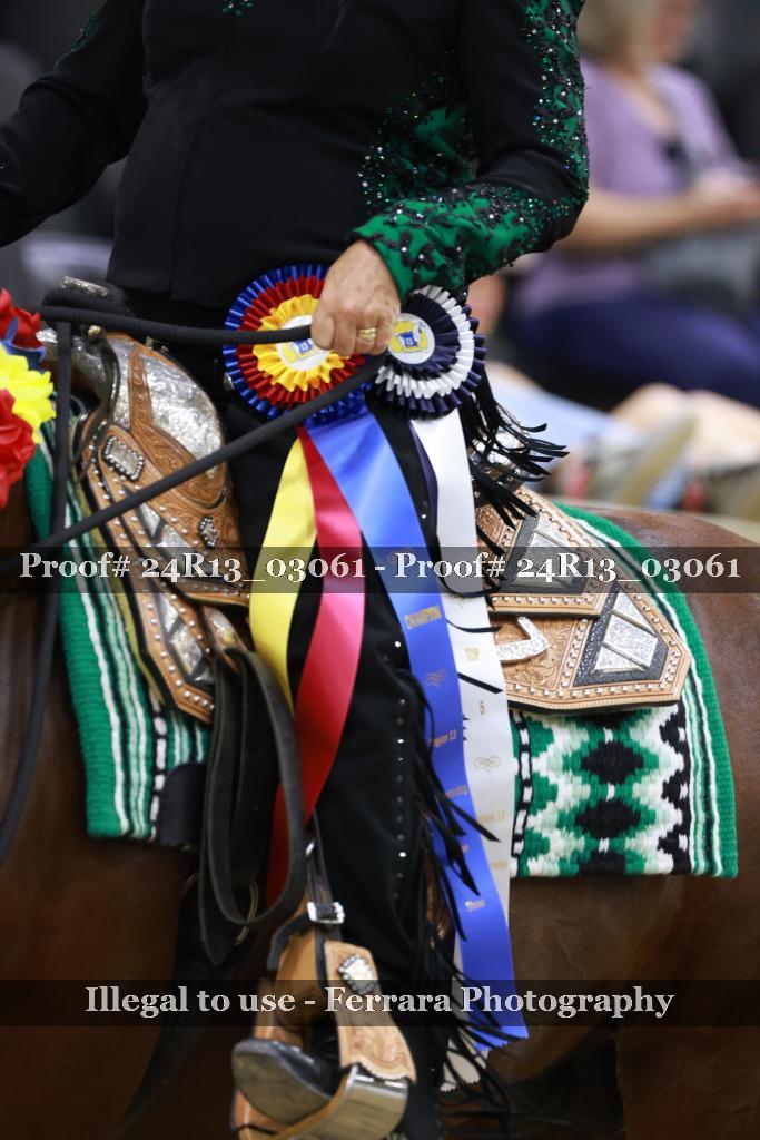 Proof Number 24R13_03061