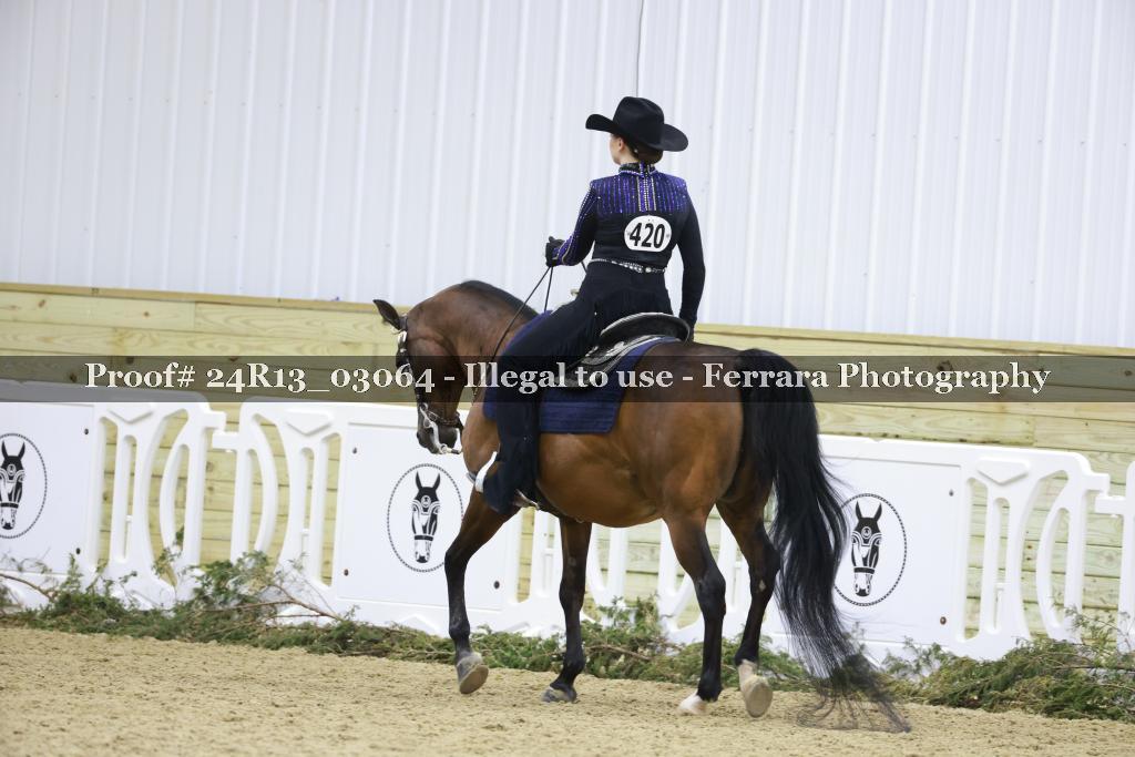 Proof Number 24R13_03064