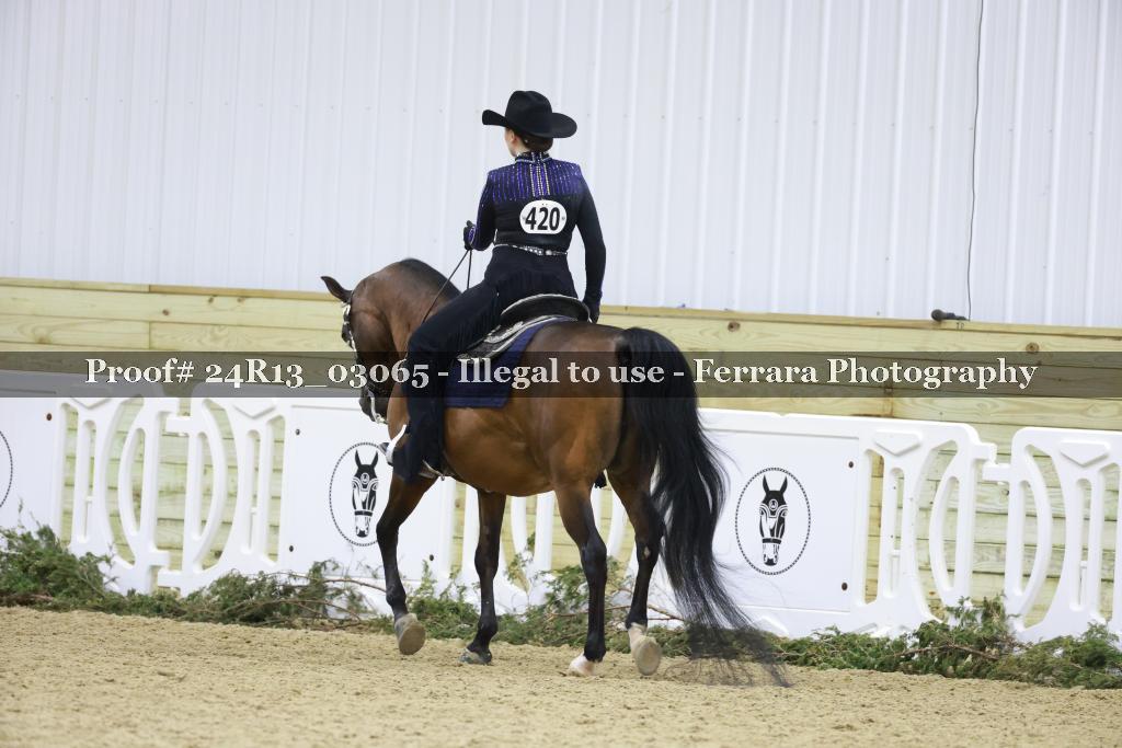 Proof Number 24R13_03065
