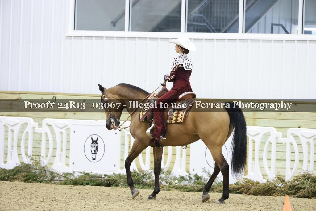 Proof Number 24R13_03067