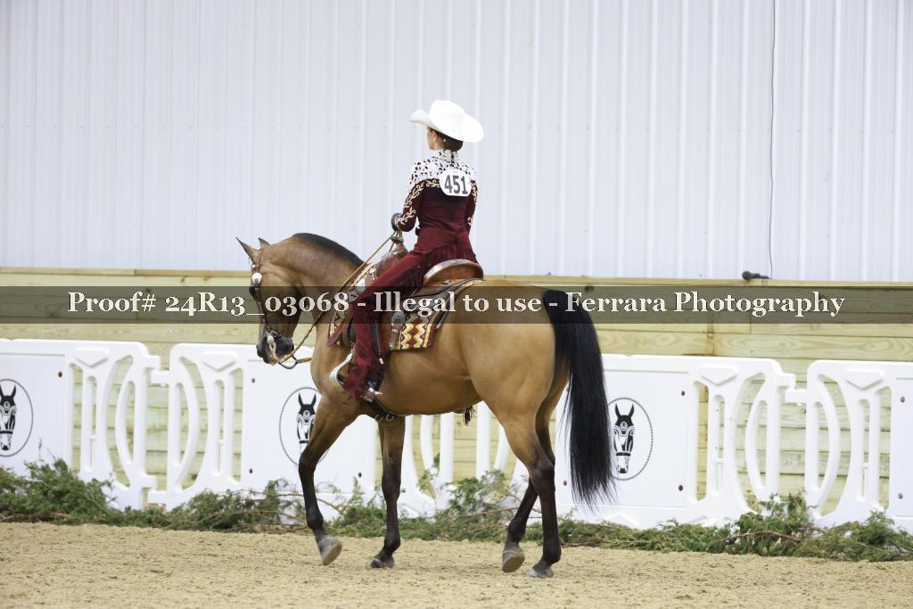 Proof Number 24R13_03068