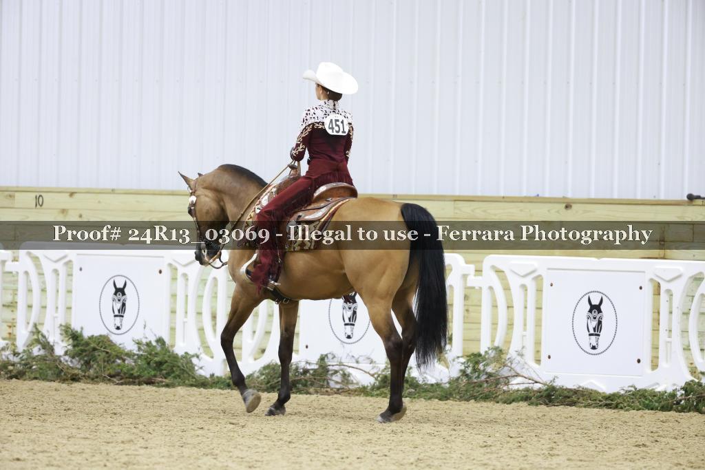 Proof Number 24R13_03069