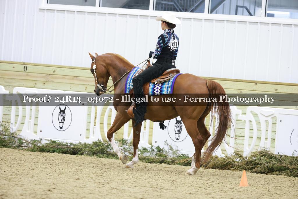 Proof Number 24R13_03072