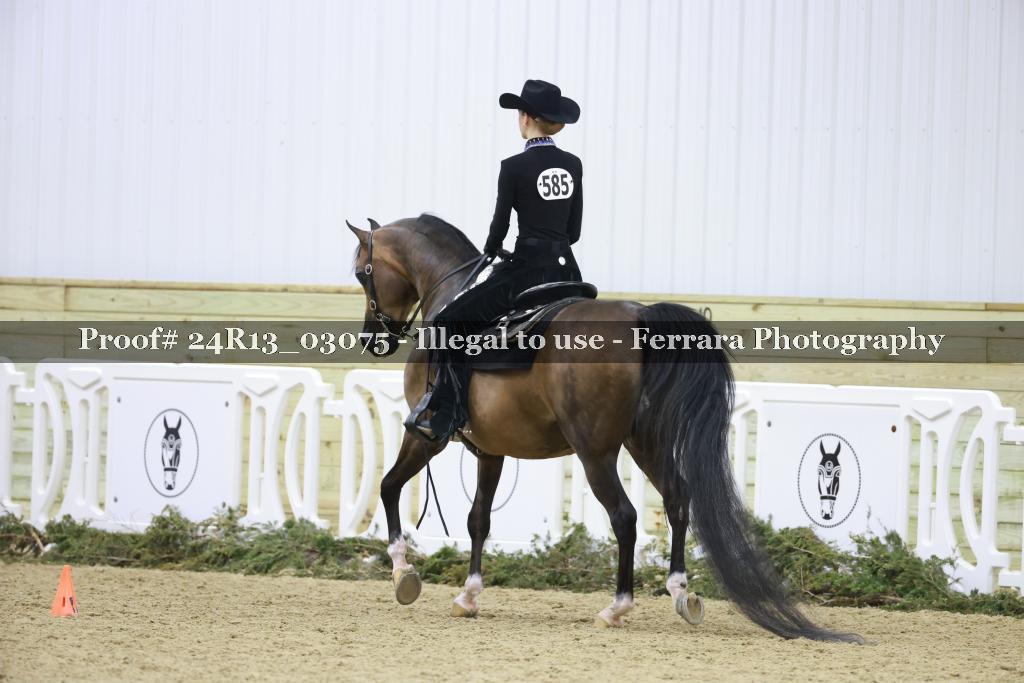 Proof Number 24R13_03075