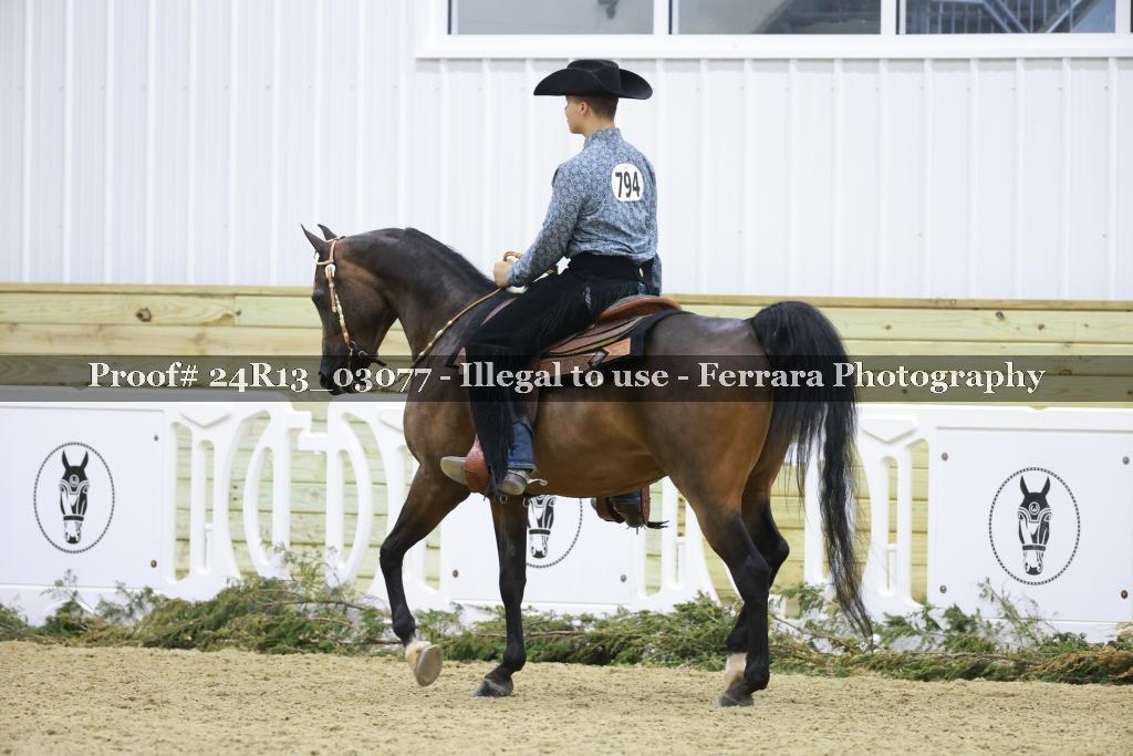 Proof Number 24R13_03077