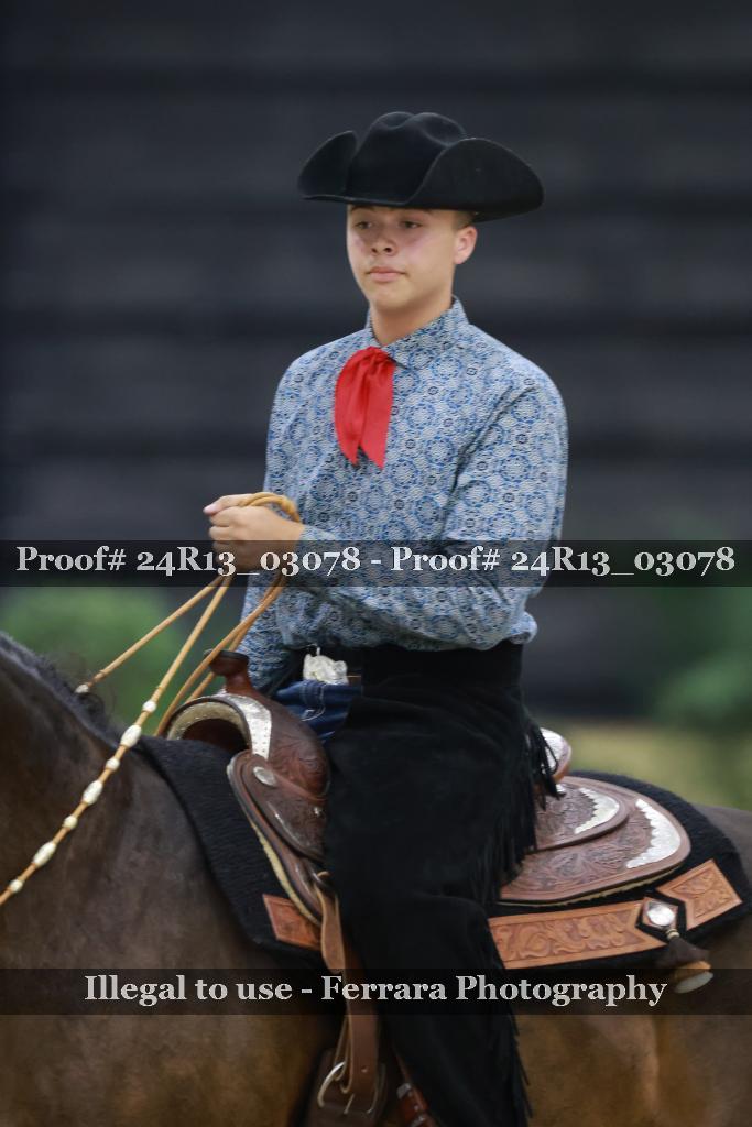 Proof Number 24R13_03078