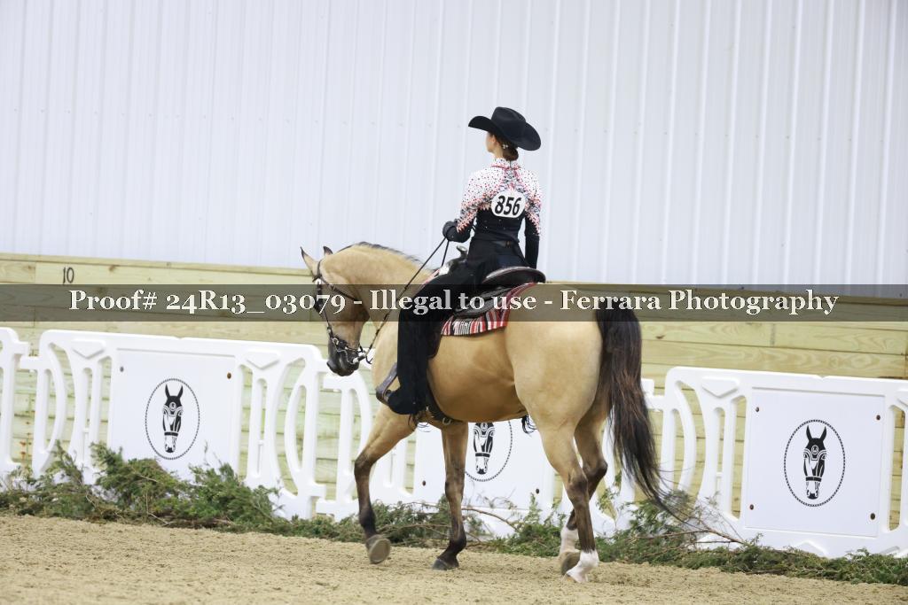 Proof Number 24R13_03079