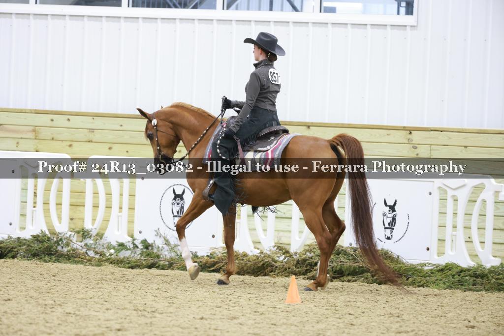 Proof Number 24R13_03082