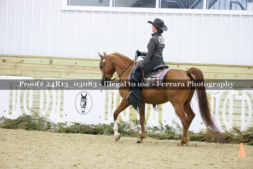 Proof Number 24R13_03083