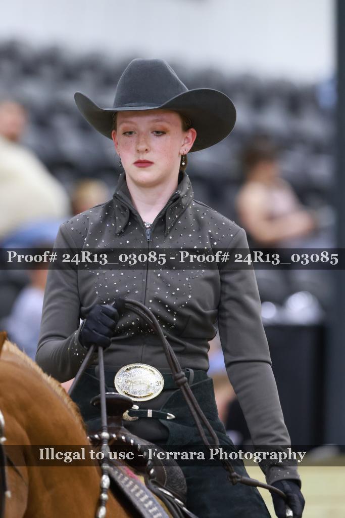 Proof Number 24R13_03085